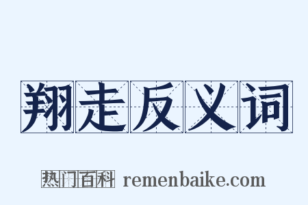 翔走反义词是什么意思的图片